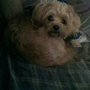 Meet your Posher, Linda